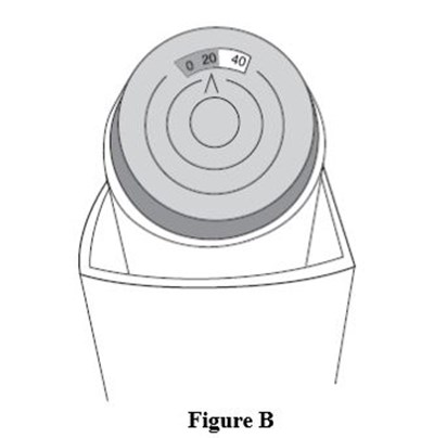 Figure B (Figure B)
